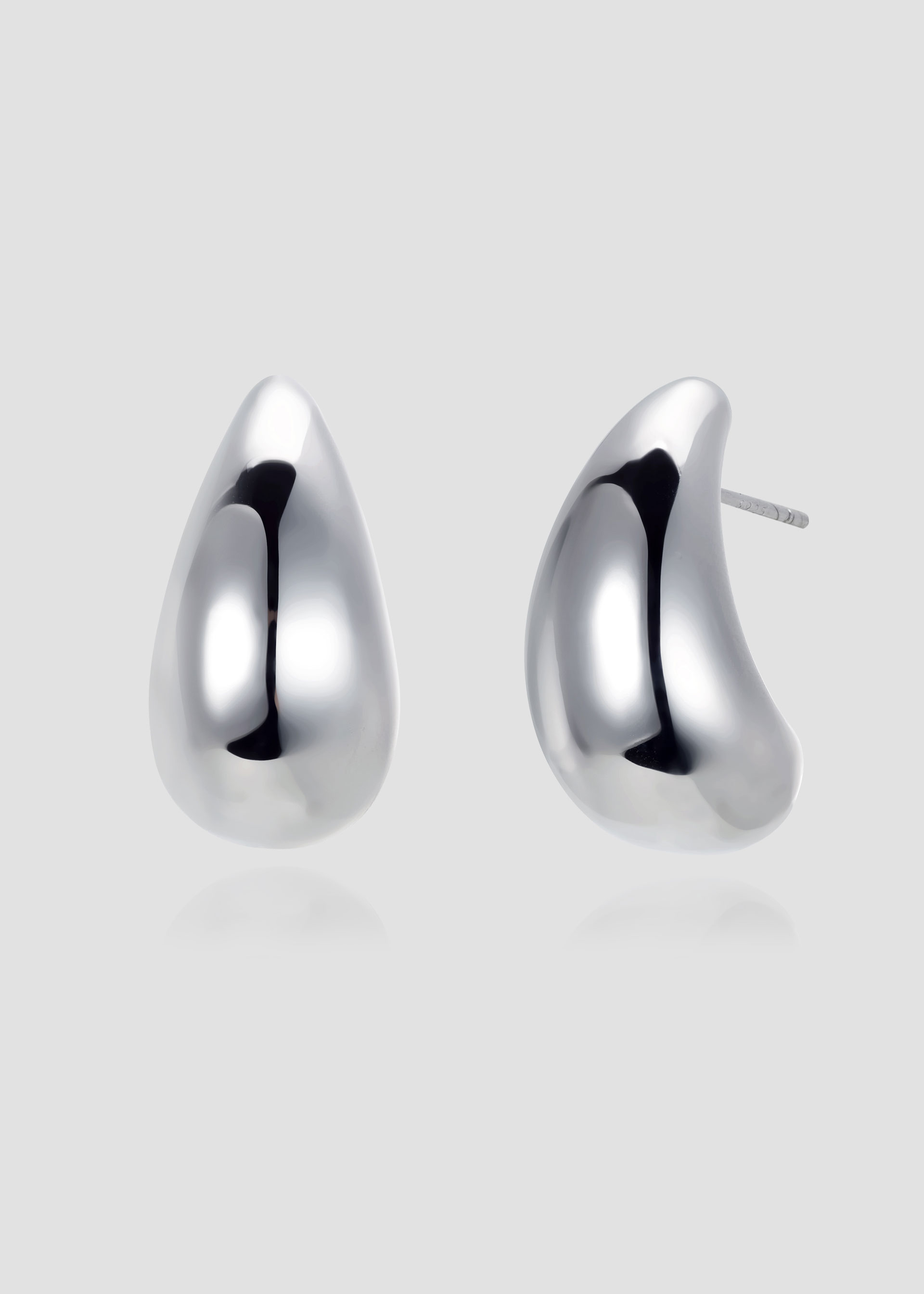 Giant Nuts Earrings _Silver